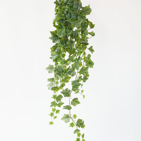 Ivy Hanging Bush in Green 100cm