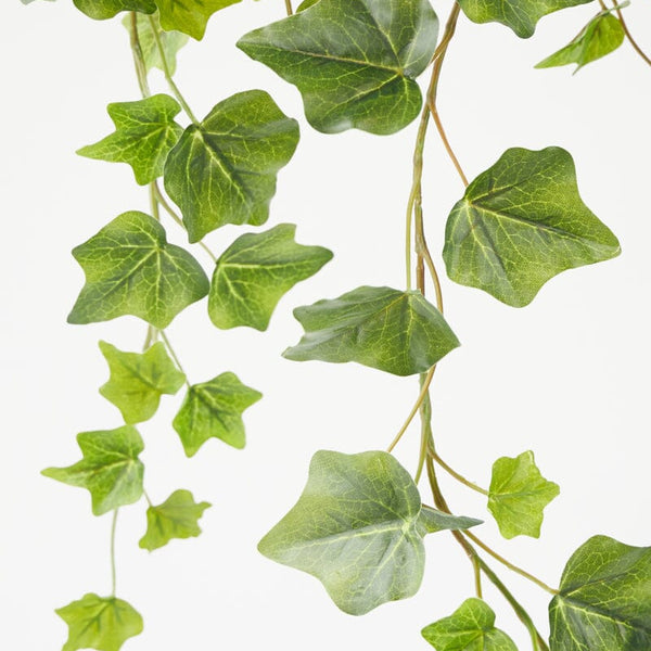 Ivy Hanging Bush in Green 100cm