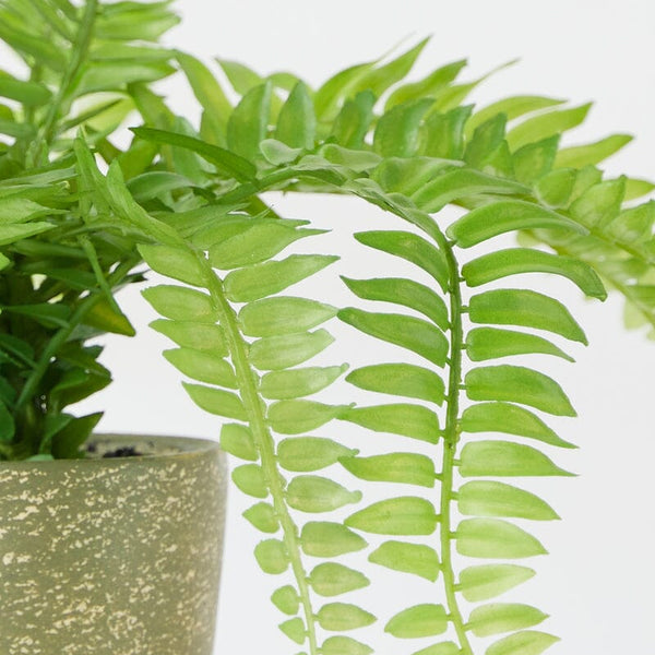 Fern Bush Faux Plant in Cement Pot 37cm