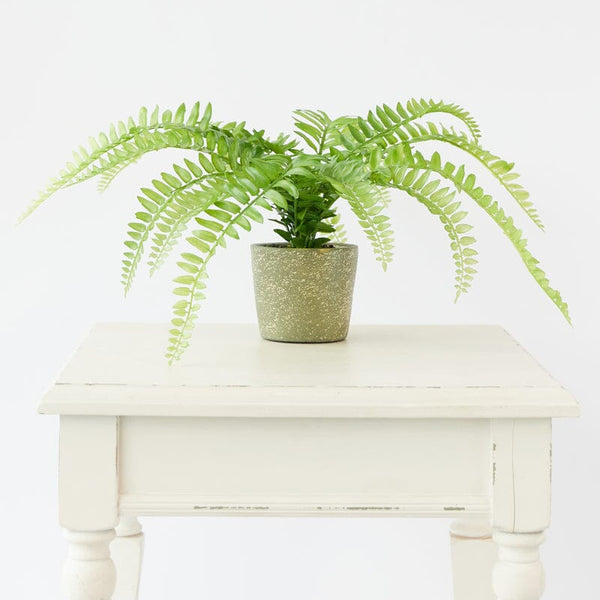 Fern Bush Faux Plant in Cement Pot 37cm