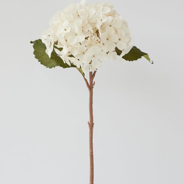 Hydrangea Stem in Cream 45cm