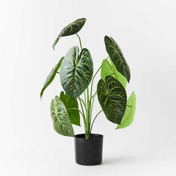 Anthurium Clarinervium Artificial Potted Plant 63cm