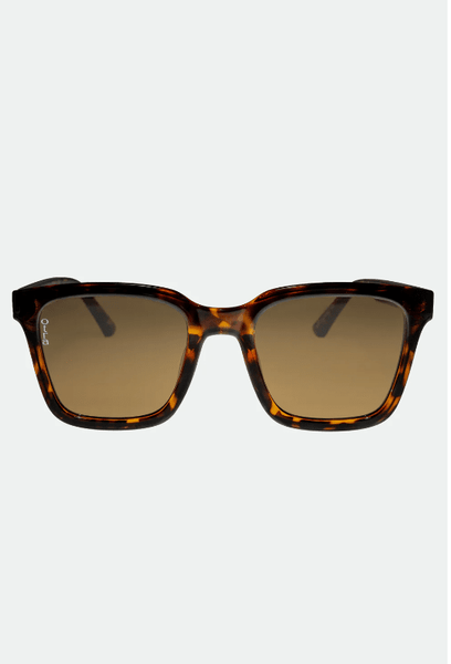 OTRA Eyewear - FYN Tortoise Shell Frame W/ Brown Lense