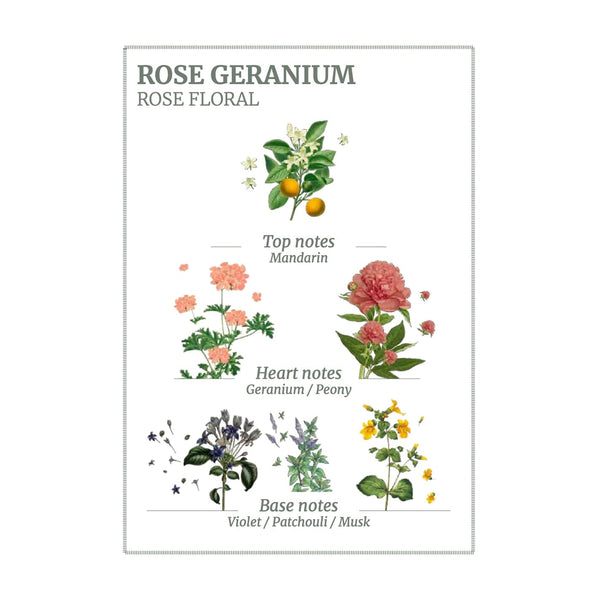 Panier des Sens Rose Geranium Scented Candle