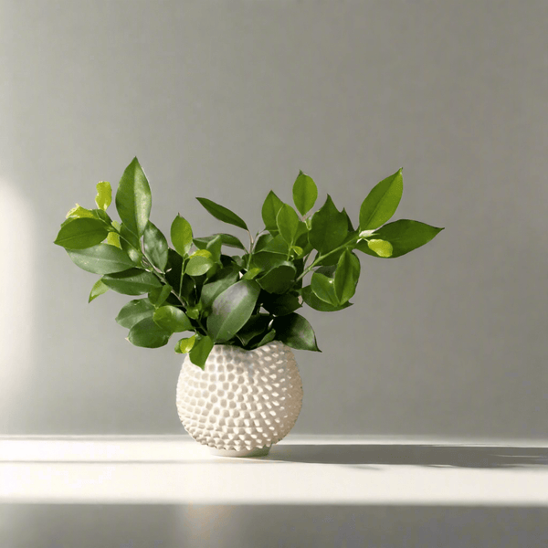 Agnes Ceramic Textured Vase in White 15cm