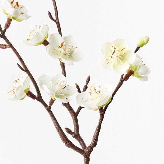 Plum Faux Blossom in White - 50cm