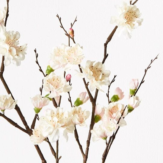 Plum Faux Blossom in Cream/Pink - 110cm