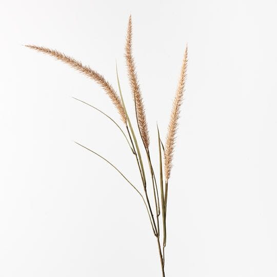 Fountain Grass Spray in Coffee 130cm