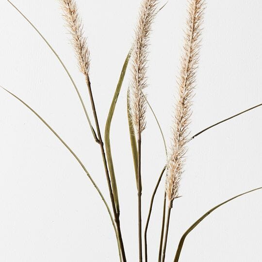 Fountain Grass Spray in Cream 130cm