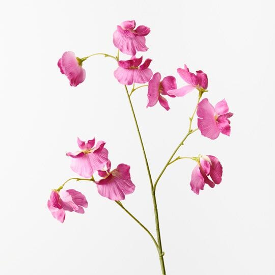 Sweet Pea Artificial Spray in Fuschia 60cm