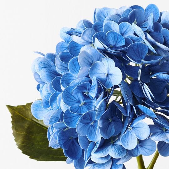 Hydrangea Artificial Stem in Blue 49cm