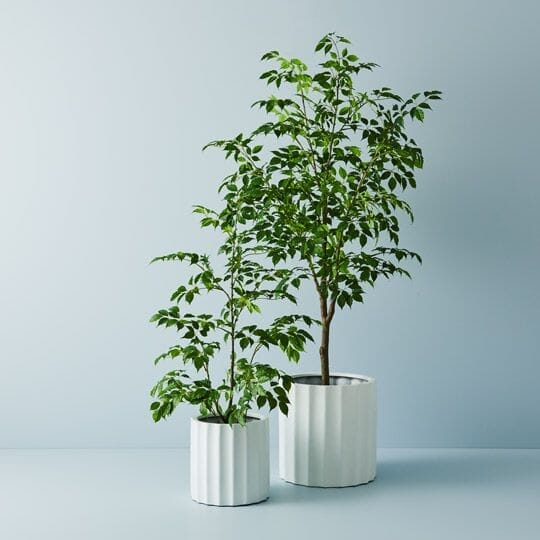 Linea Pot in White 30cm