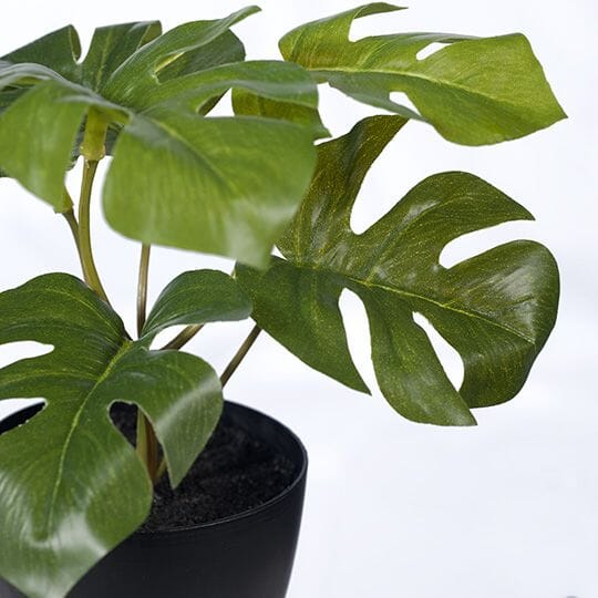 Monsteria Artificial Potted Plant 15cm