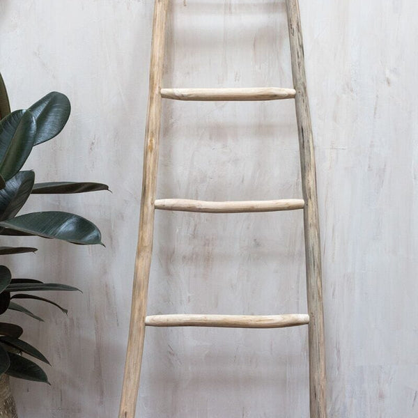 Anisa Teak Wood Decorative Ladder 160cm