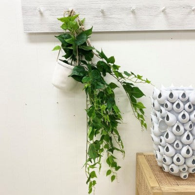 Pothos Artificial Hanging Bush  90cm (Save 40%)