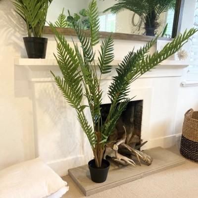 FERN PALM TREE - 120cm