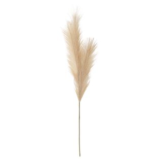 Faux Pampas Grass in Latte 70cm